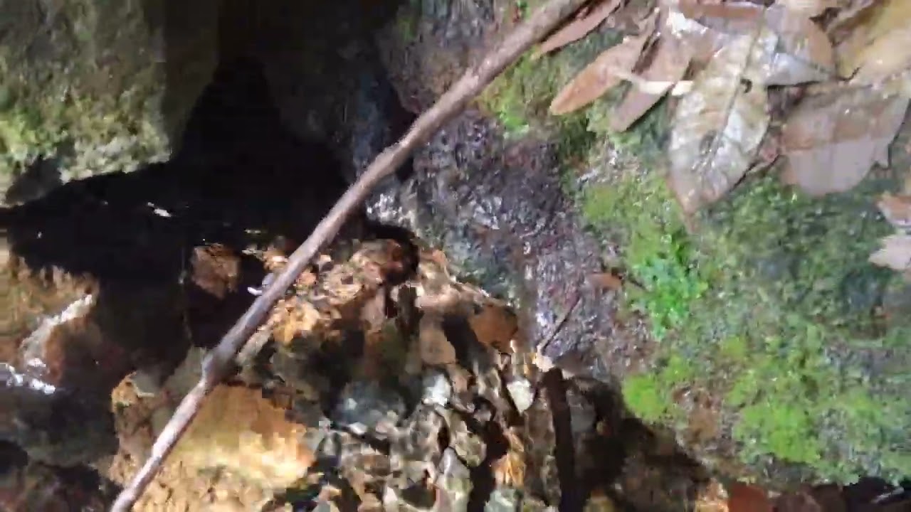 el agua de manantial se puede tomar