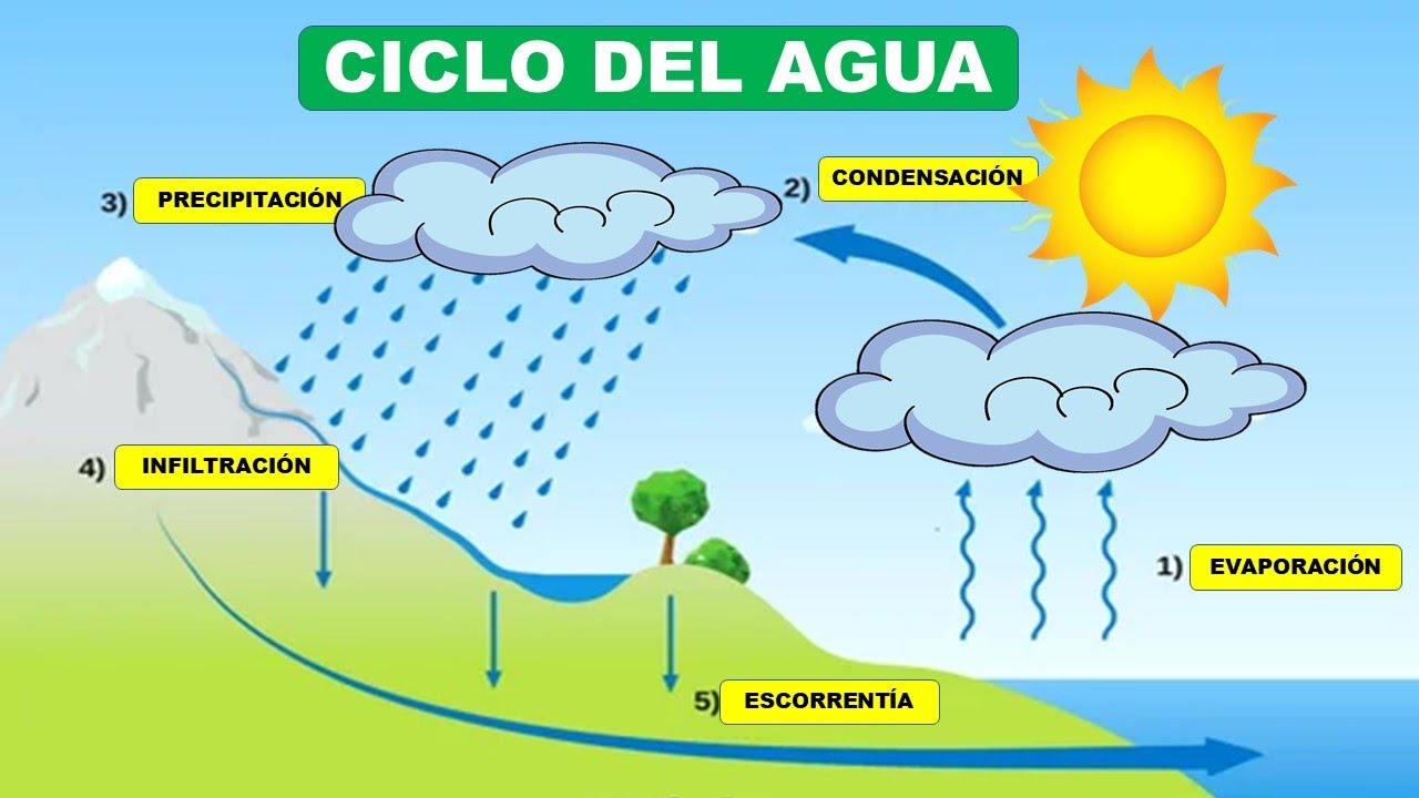 el agua se purifica al evaporarse y condensarse