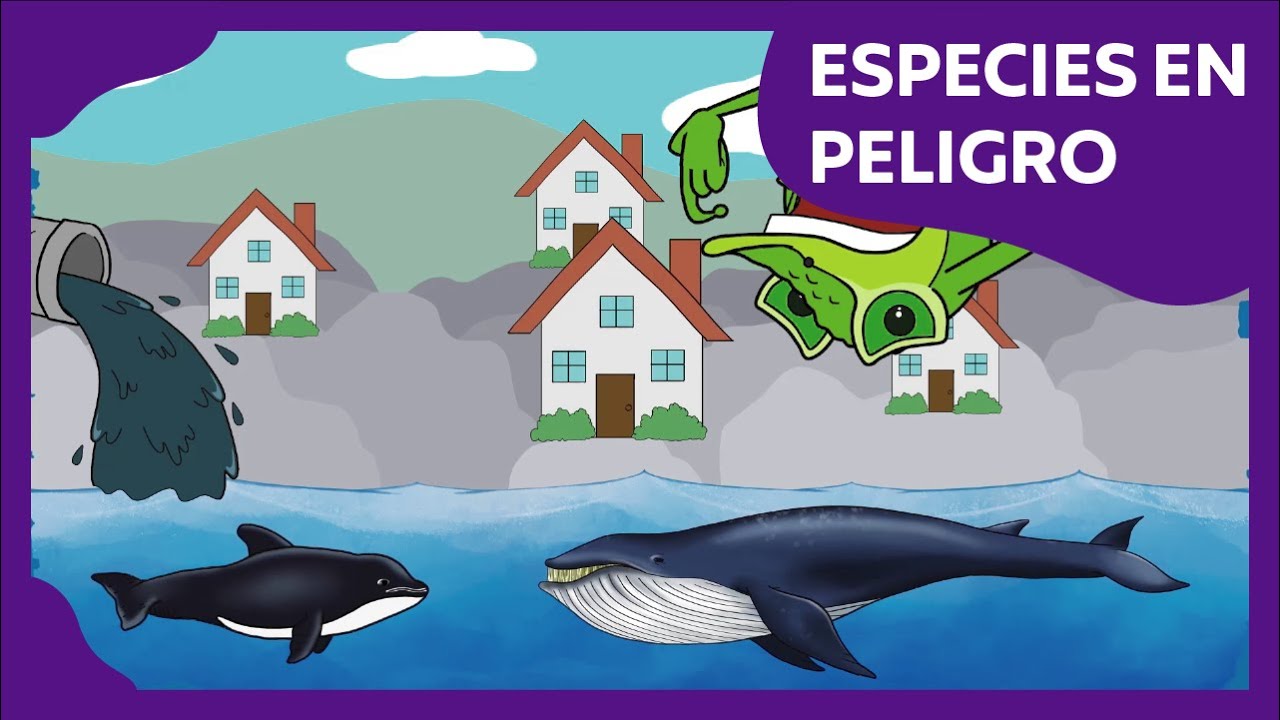 el camaleon esta en peligro de extincion