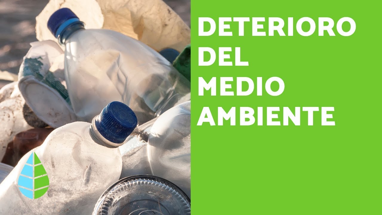 el deterioro ambiental y la huella ecologica