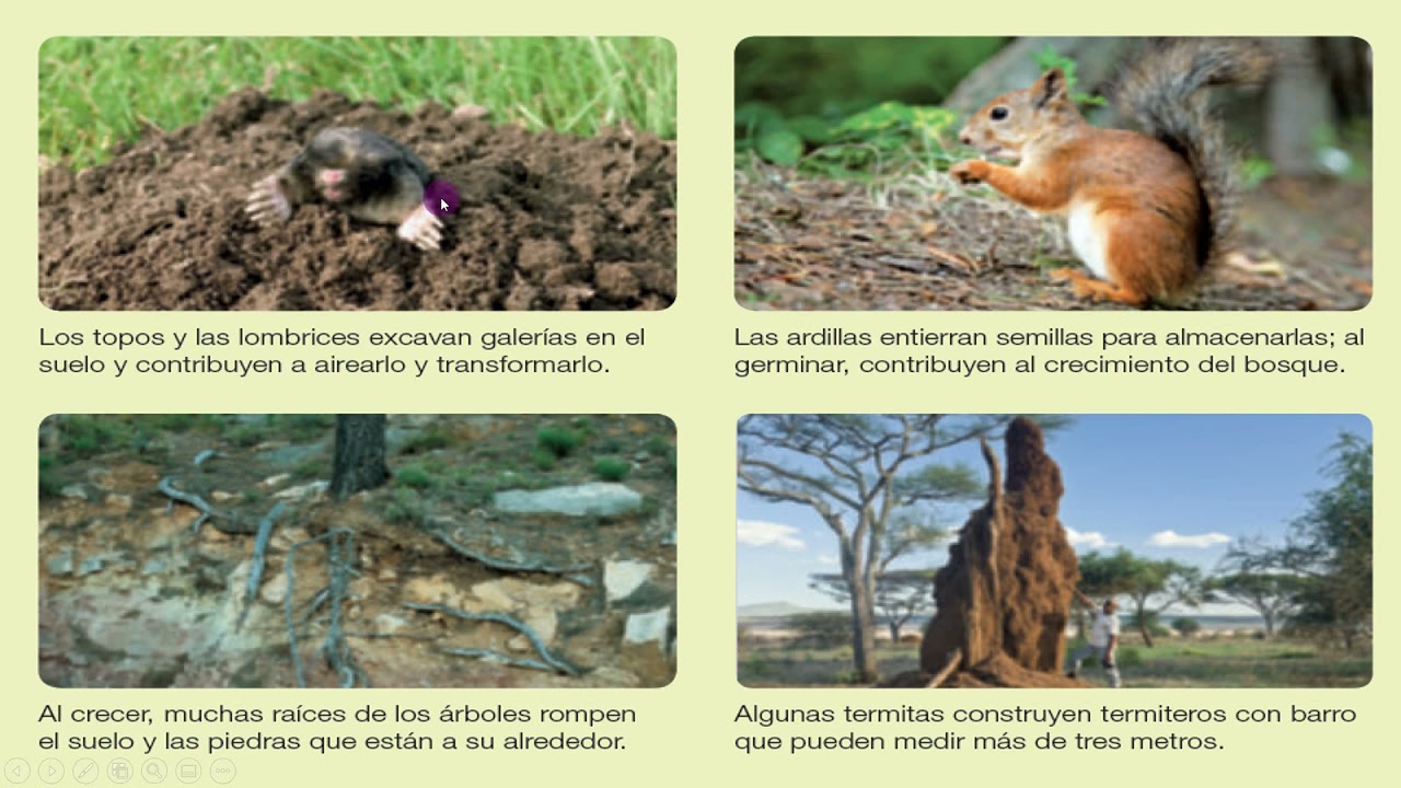 el medio fisico y los seres vivos