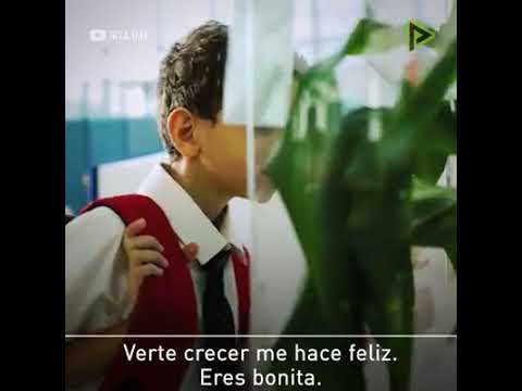 en un experimento se colocaron dos plantas