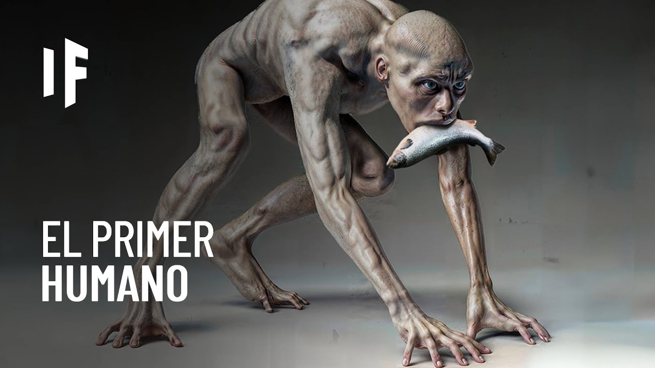 ensayo de la evolucion del ser humano