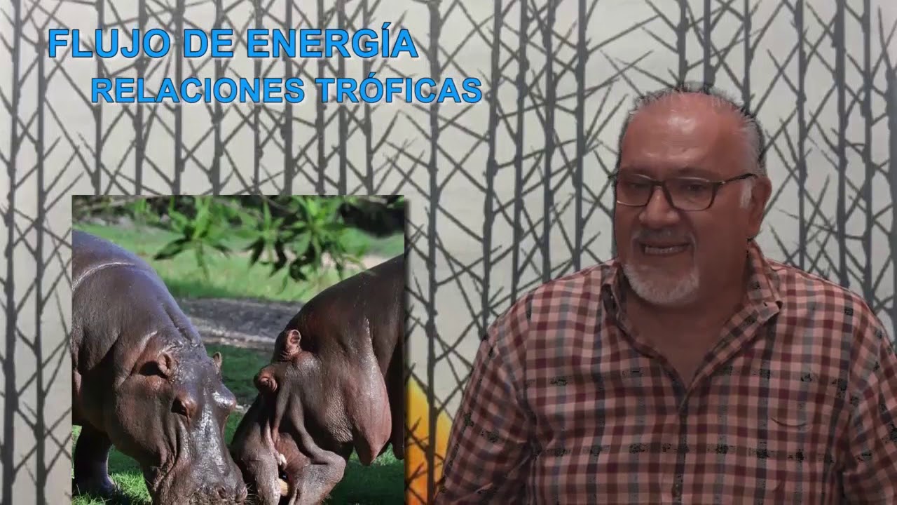 estructura y funcion de los ecosistemas