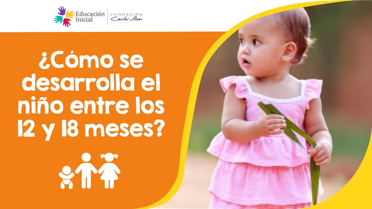 etapa maternal de 18 a 36 meses