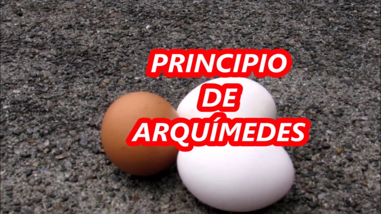 experimentos sobre el principio de arquímedes