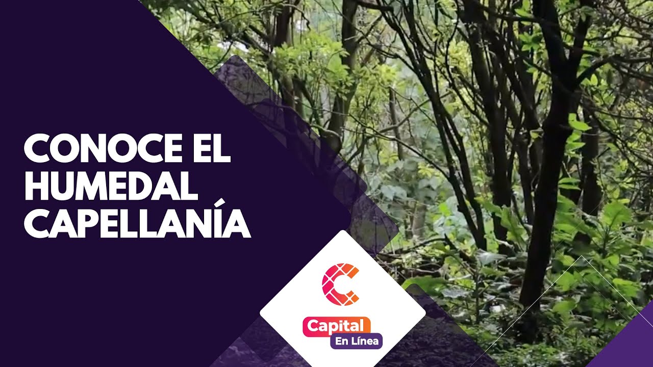 fauna y flora de los humedales en colombia