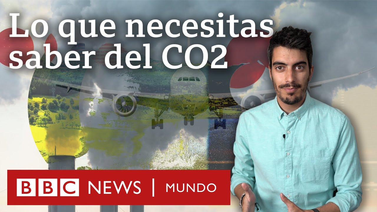funcion del dioxido de carbono en las plantas