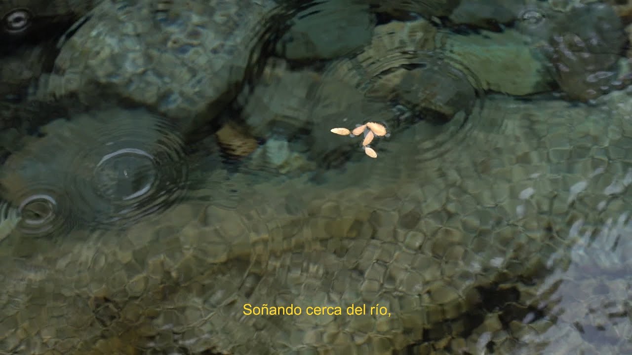 gaston bachelard el agua y los sueños