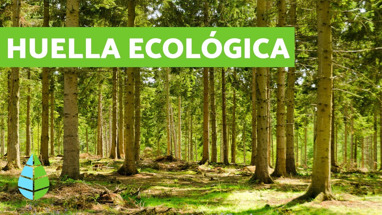 huella ecologica biocapacidad deficit y credito ecologico