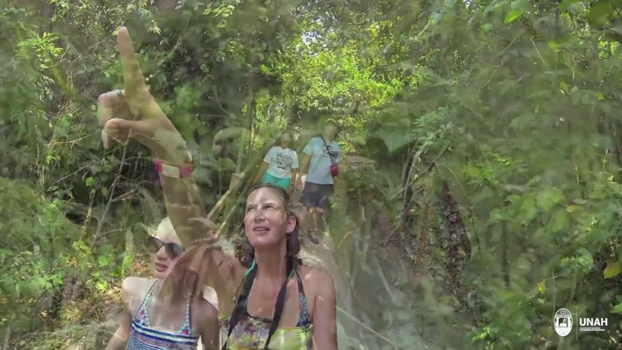 impacto turistico en el medio ambiente
