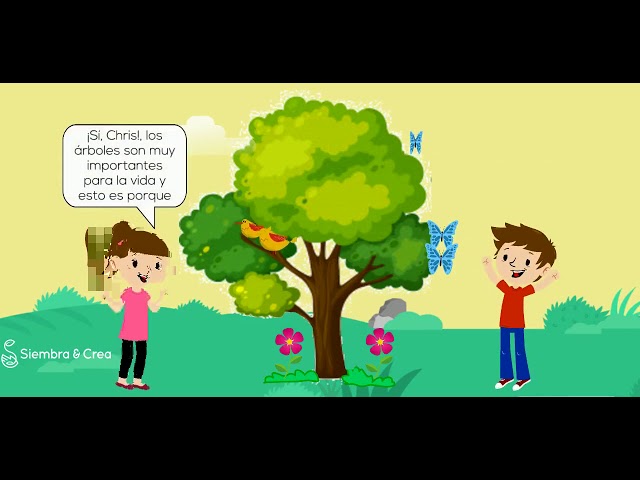 importancia de la plantacion de arboles
