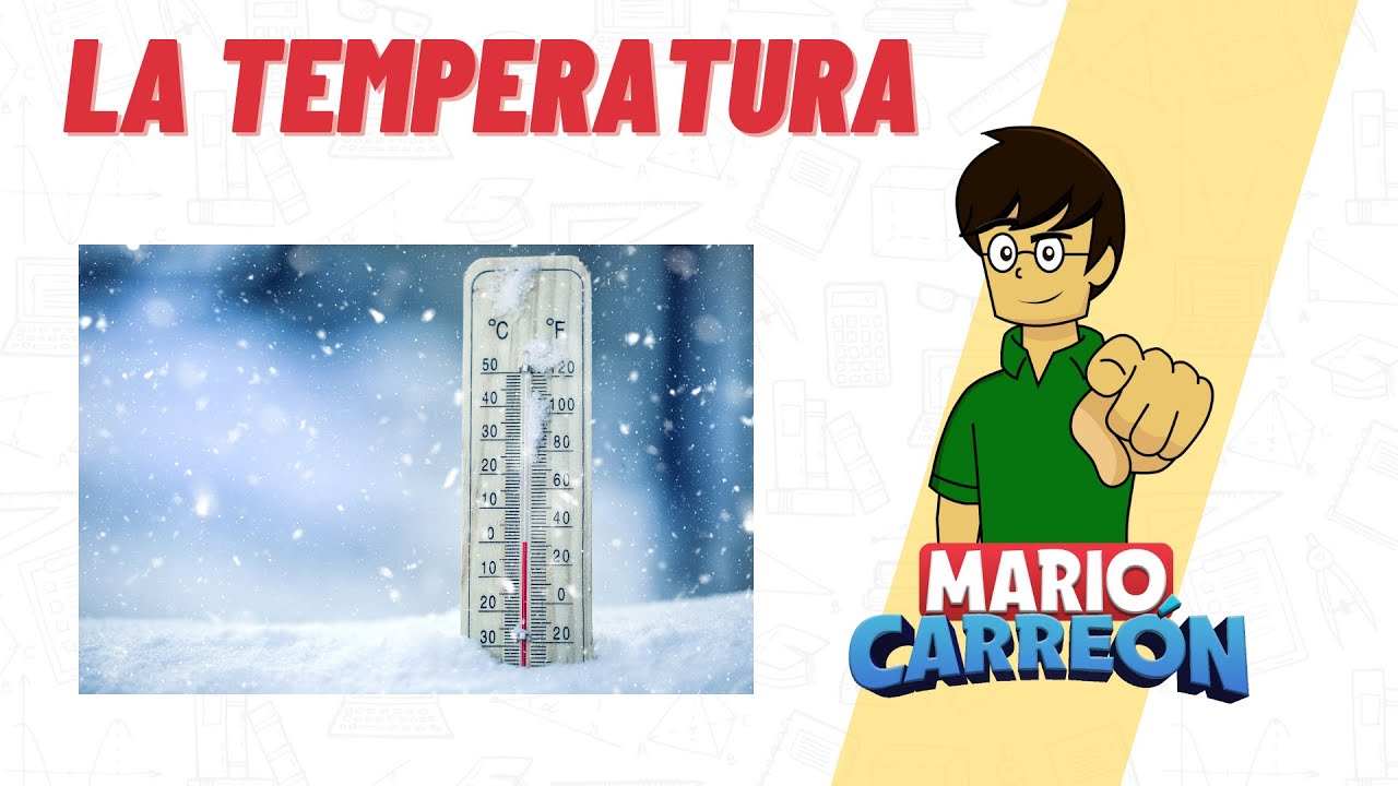 importancia de la temperatura en el ecosistema