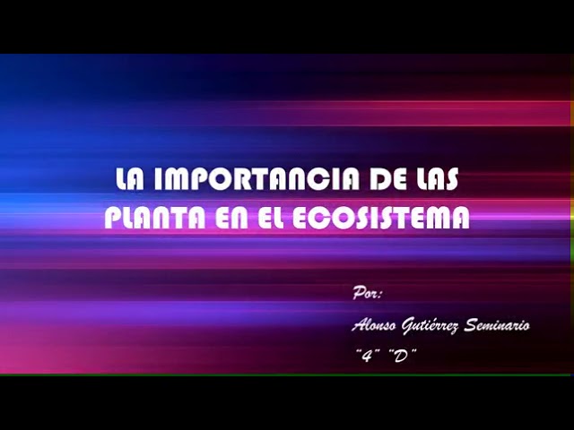 importancia de las plantas en el ecosistema