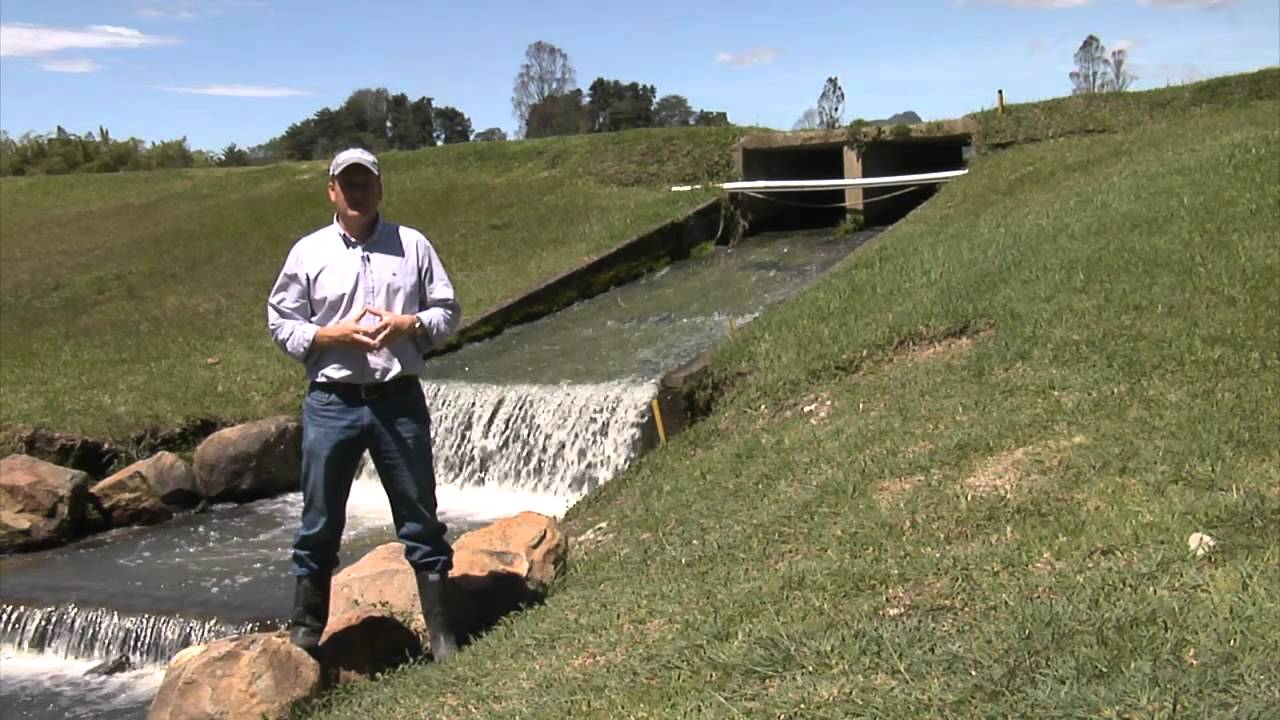 importancia del riego y drenaje en la agricultura