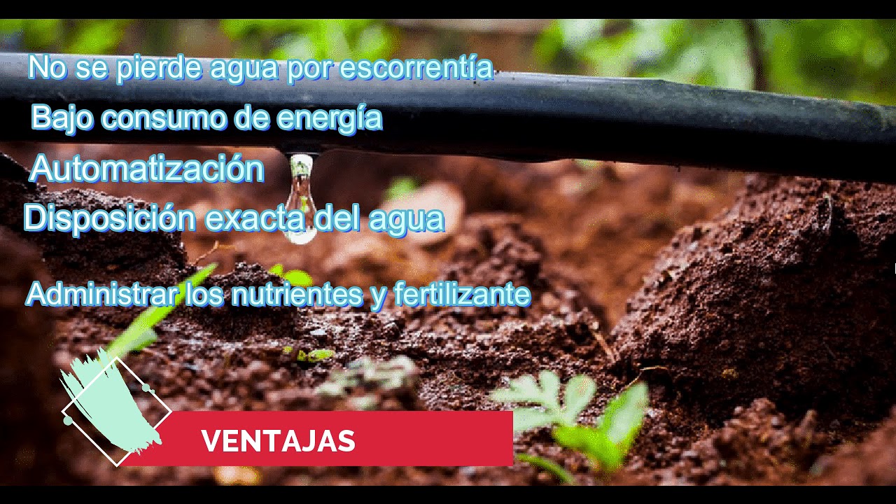 importancia del sistema de riego por goteo
