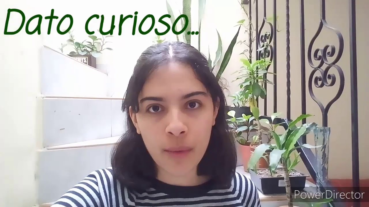 influencia del agua en las plantas