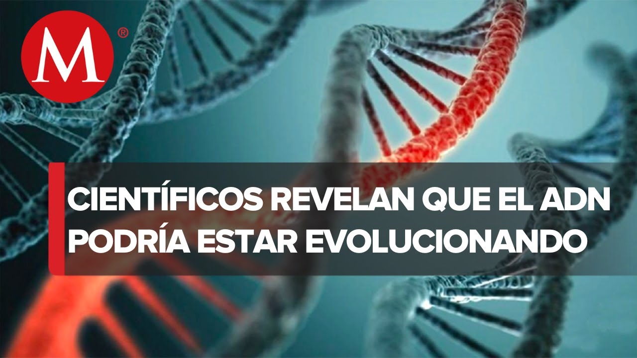 investigaciones que han contribuido al desarrollo de la sociedad