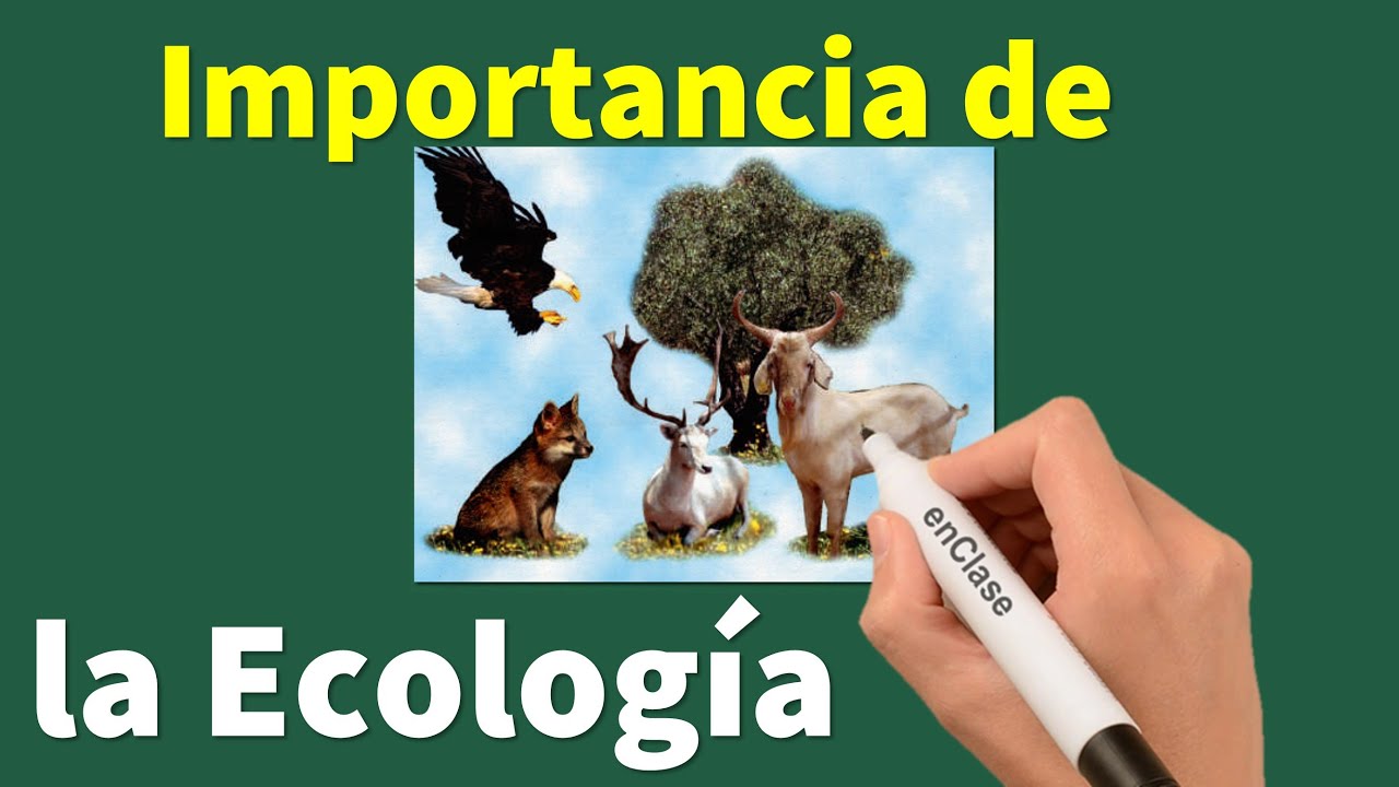 la importancia de la ecologia en la actualidad