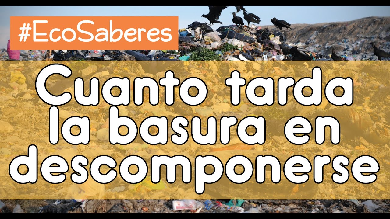 linea del tiempo de la basura
