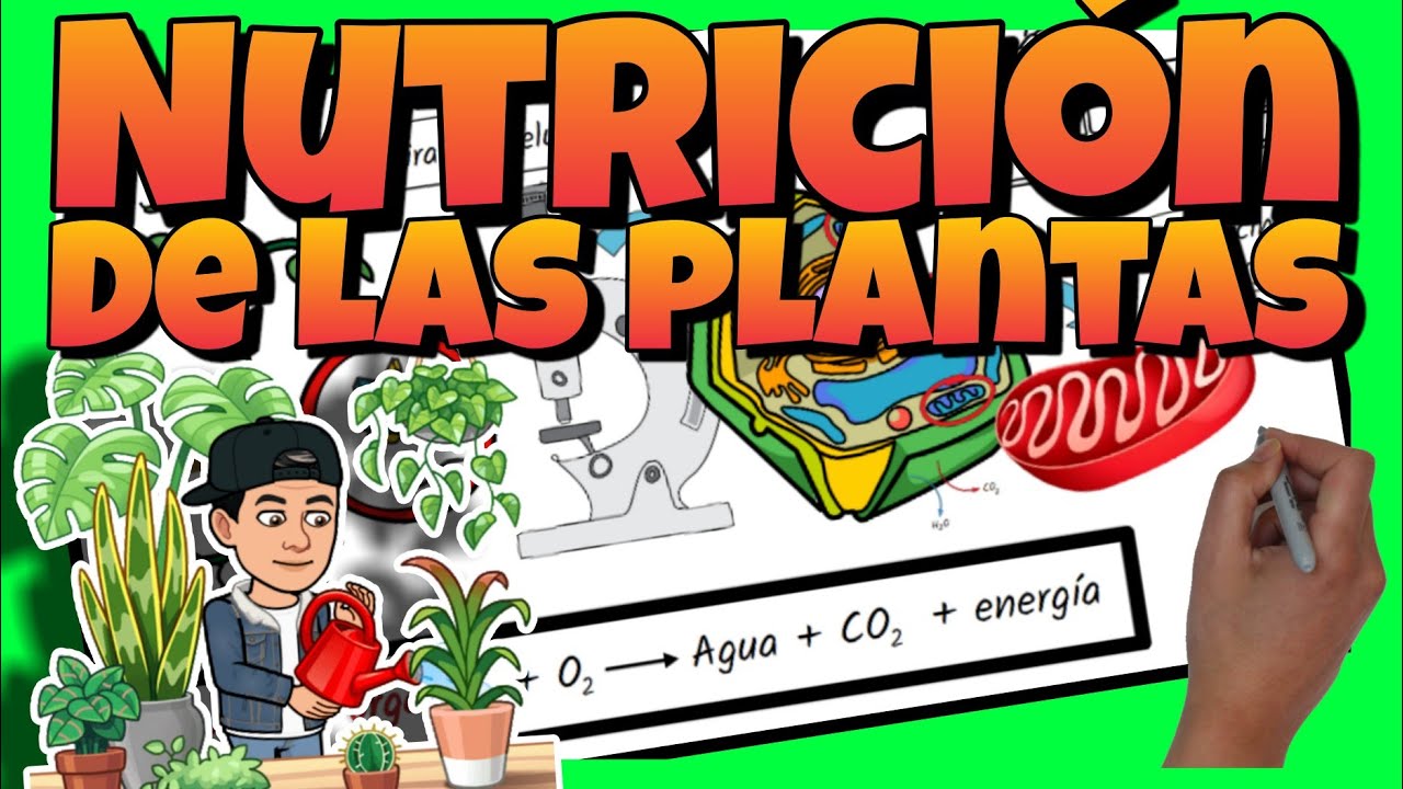 material responsable de la nutrición de las plantas