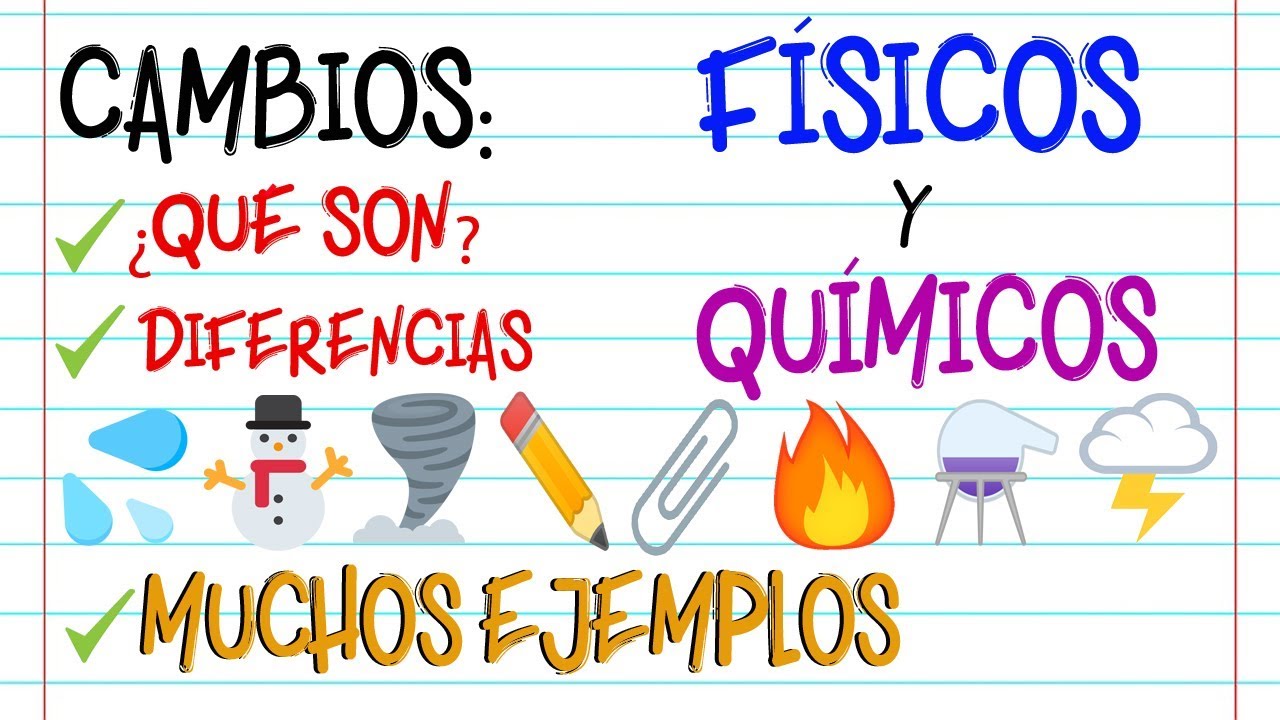 menciona una caracteristica de los principios fisico quimico y biologico