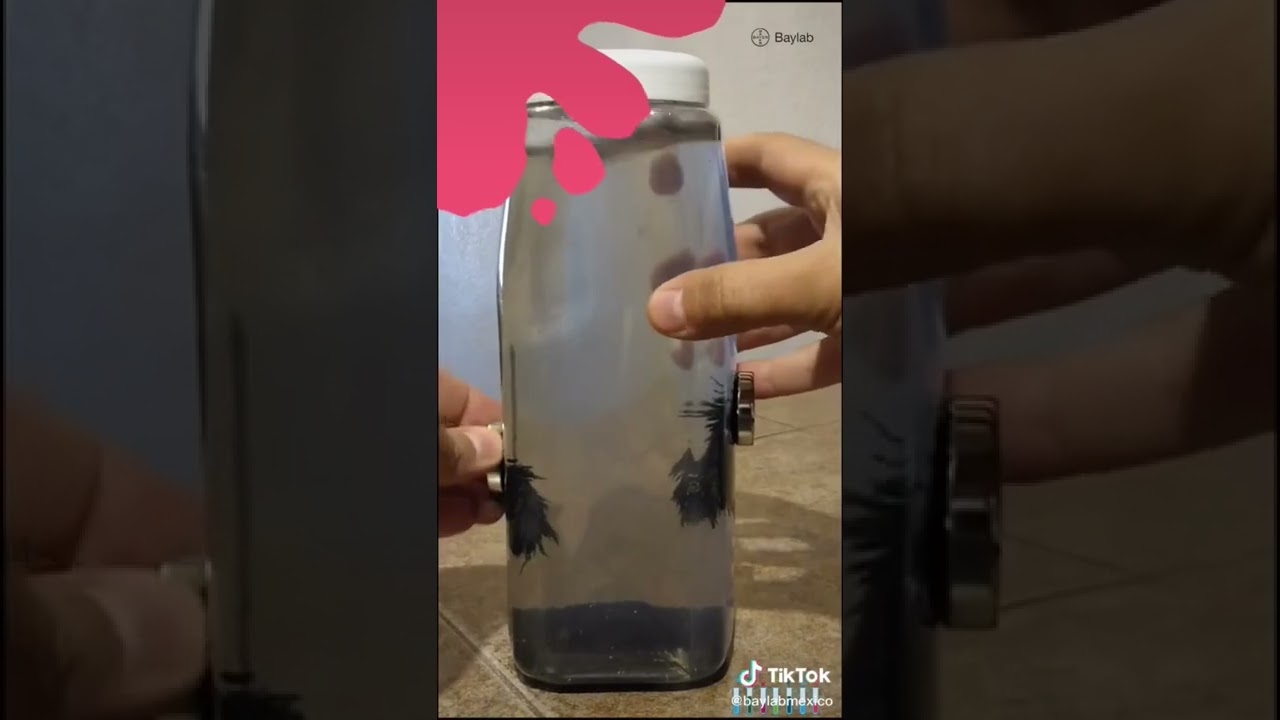 meter algo debajo del agua con fuerza
