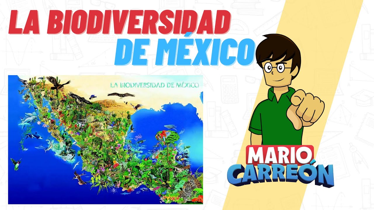 monografia de la biodiversidad en mexico