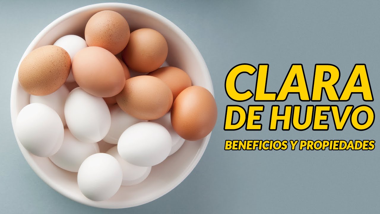 nombre cientifico de la clara de huevo