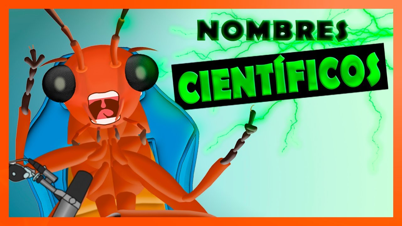 nombre comun y cientifico de insectos