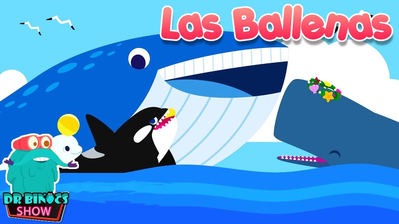 partes del cuerpo de la ballena para niños