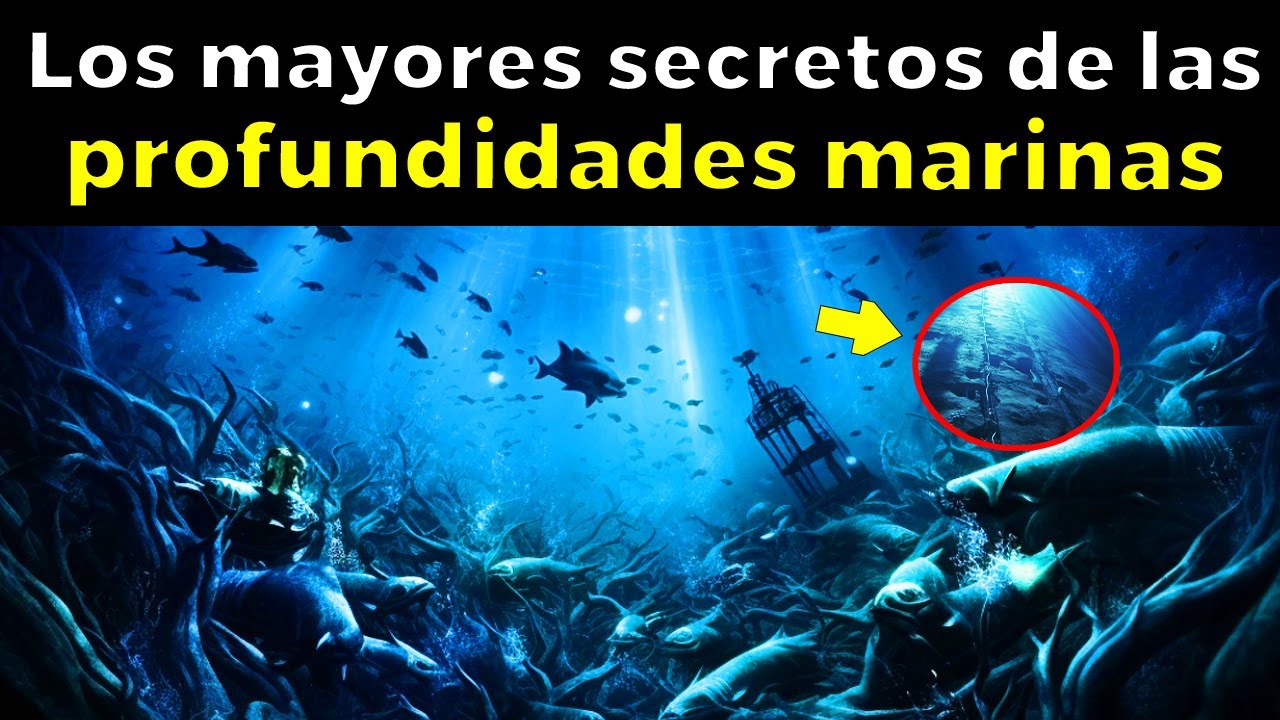 pertenece a las profundidades del mar