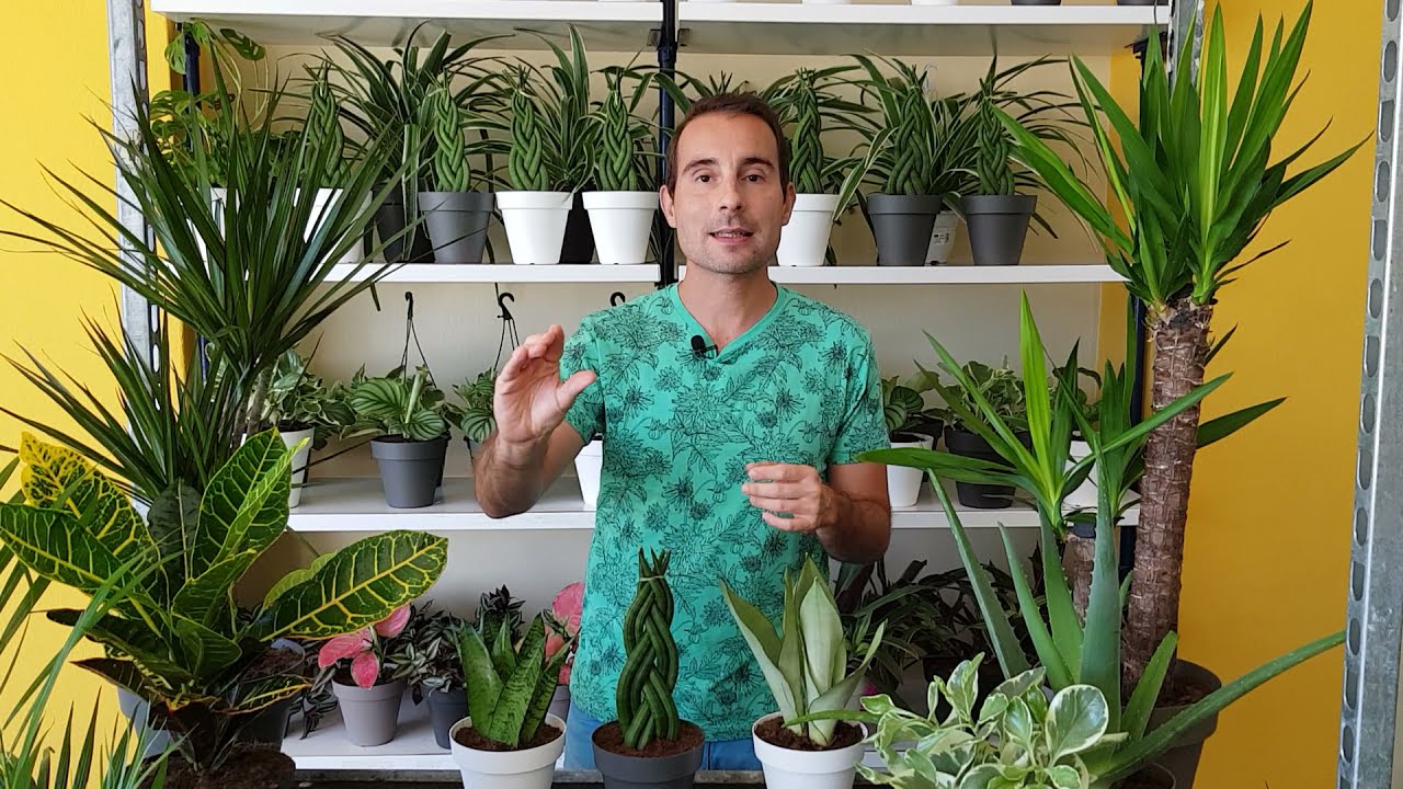 planta en la que se purifica alguna sustancia