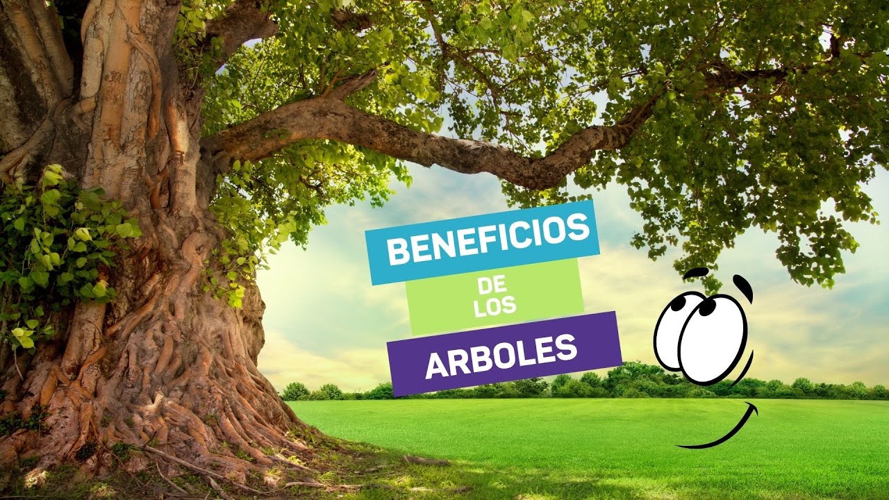 por que son importantes los arboles