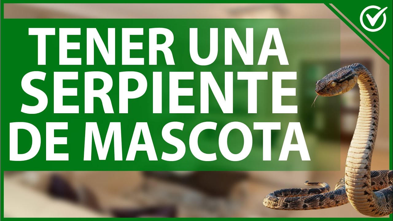 que comen las serpientes de agua