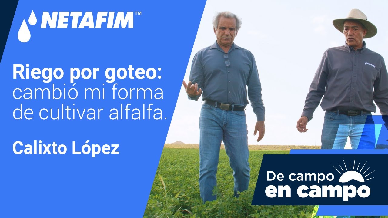 que cultivos se riegan por goteo