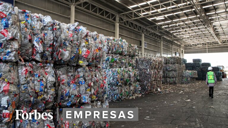 ¿Qué es el reciclaje de PET y cómo beneficia al medio ambiente? - foare ...