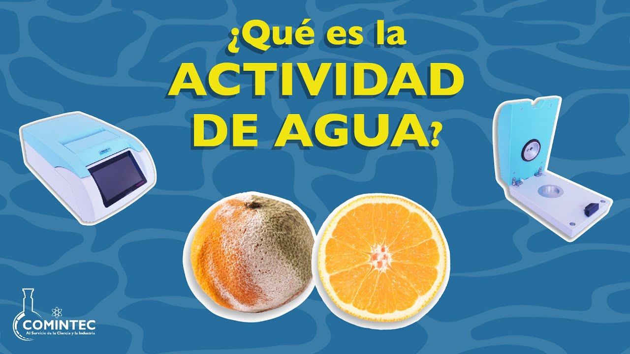que es la actividad del agua