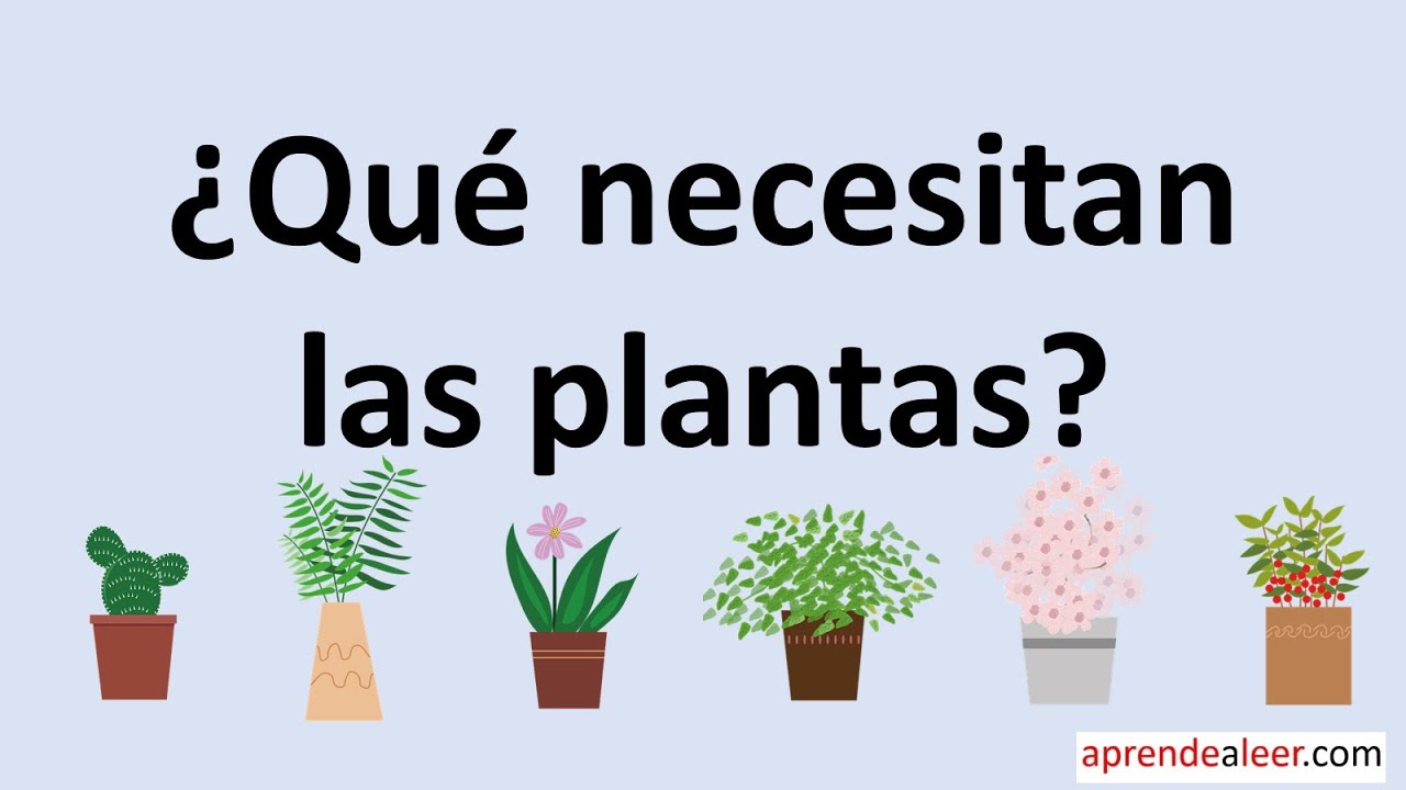 que necesitan las plantas para sobrevivir