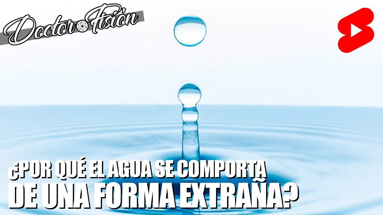 salir a la superficie de un líquido