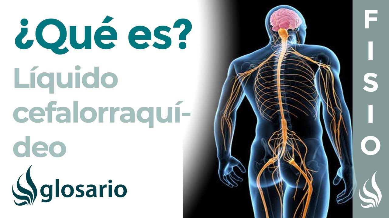 salir un líquido del cuerpo que lo contiene