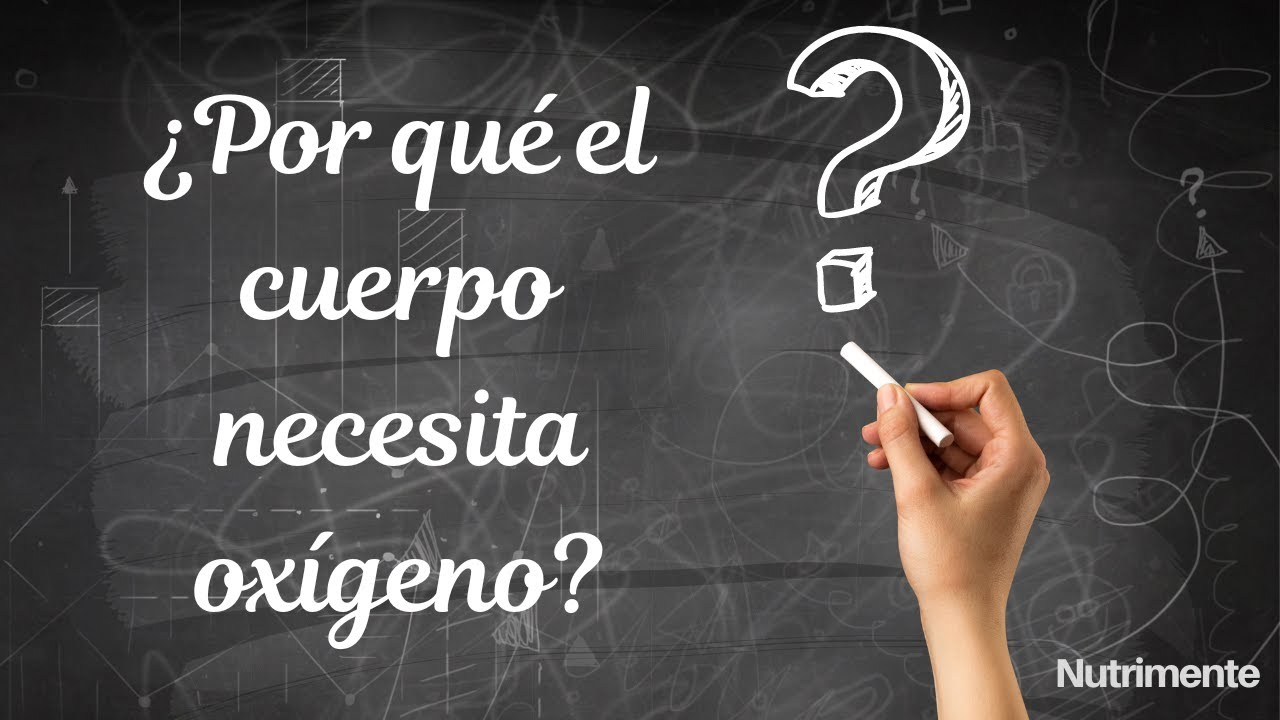 ser vivo que necesita oxígeno para vivir
