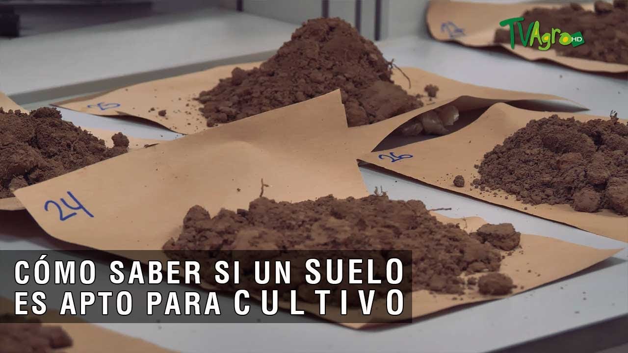 tipo de suelo apto para la agricultura