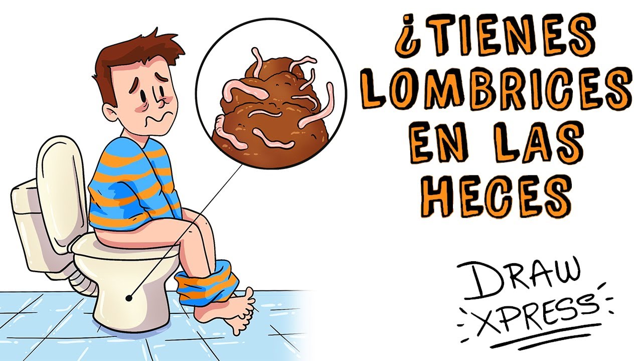 tipos de gusanos en el baño