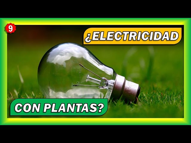 ventajas y desventajas de la bioenergía