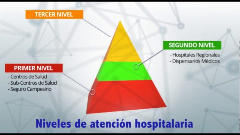 Los 4 Niveles de Atención en Salud: Guía Completa para Comprender su