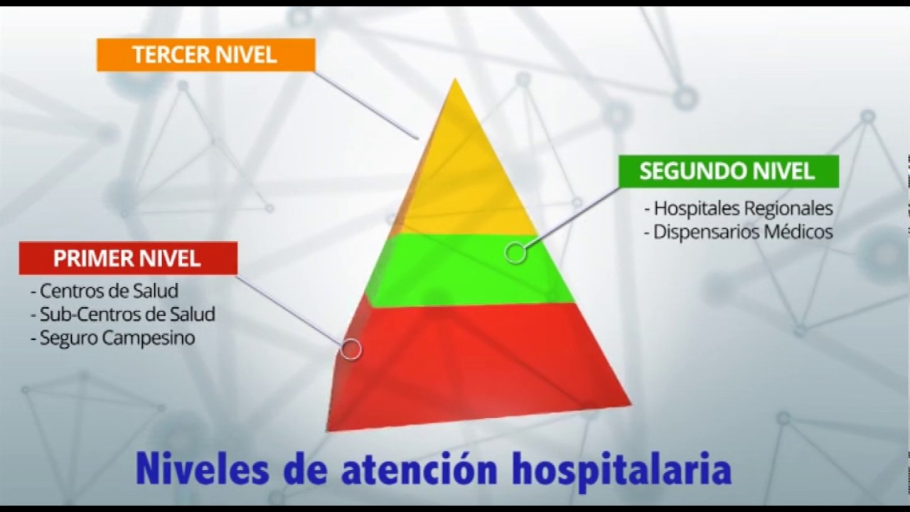 4 niveles de atencion en salud