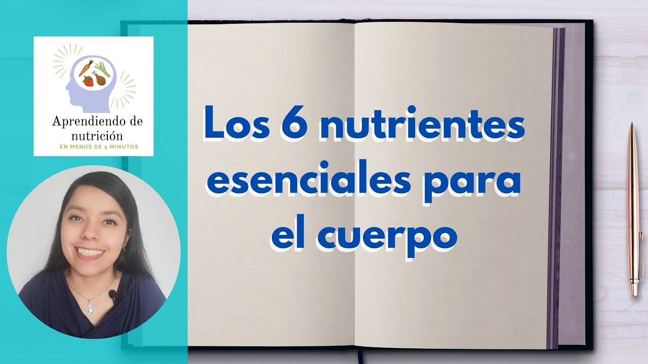6 nutrientes que necesita el cuerpo