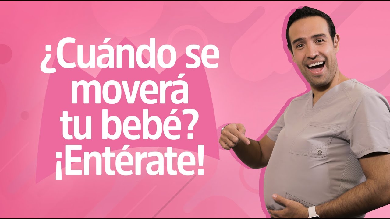 a cuantos meses se siente el bebe en el vientre