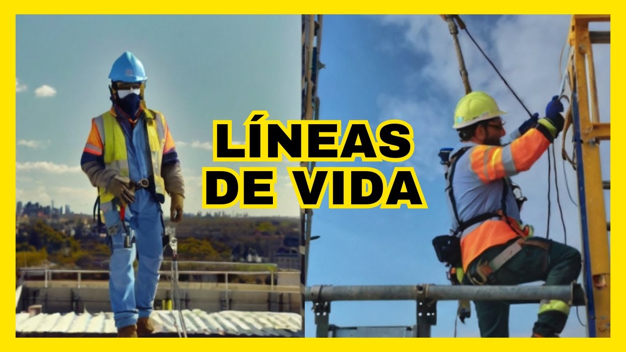 a que se refiere el termino linea de vida